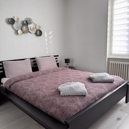 Appartement Des 3 Pays. 2 Mn De Bale+ Free Parking Сен-Луи Екстериор снимка