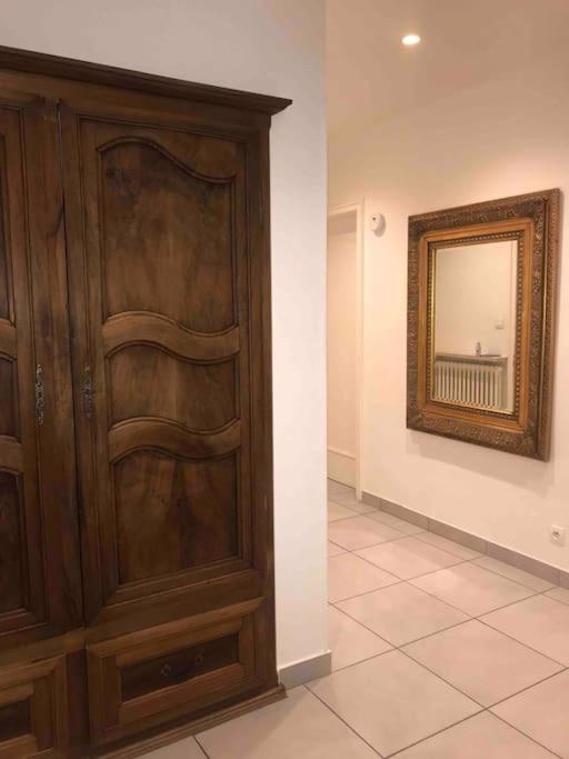 Appartement Des 3 Pays. 2 Mn De Bale+ Free Parking Сен-Луи Екстериор снимка