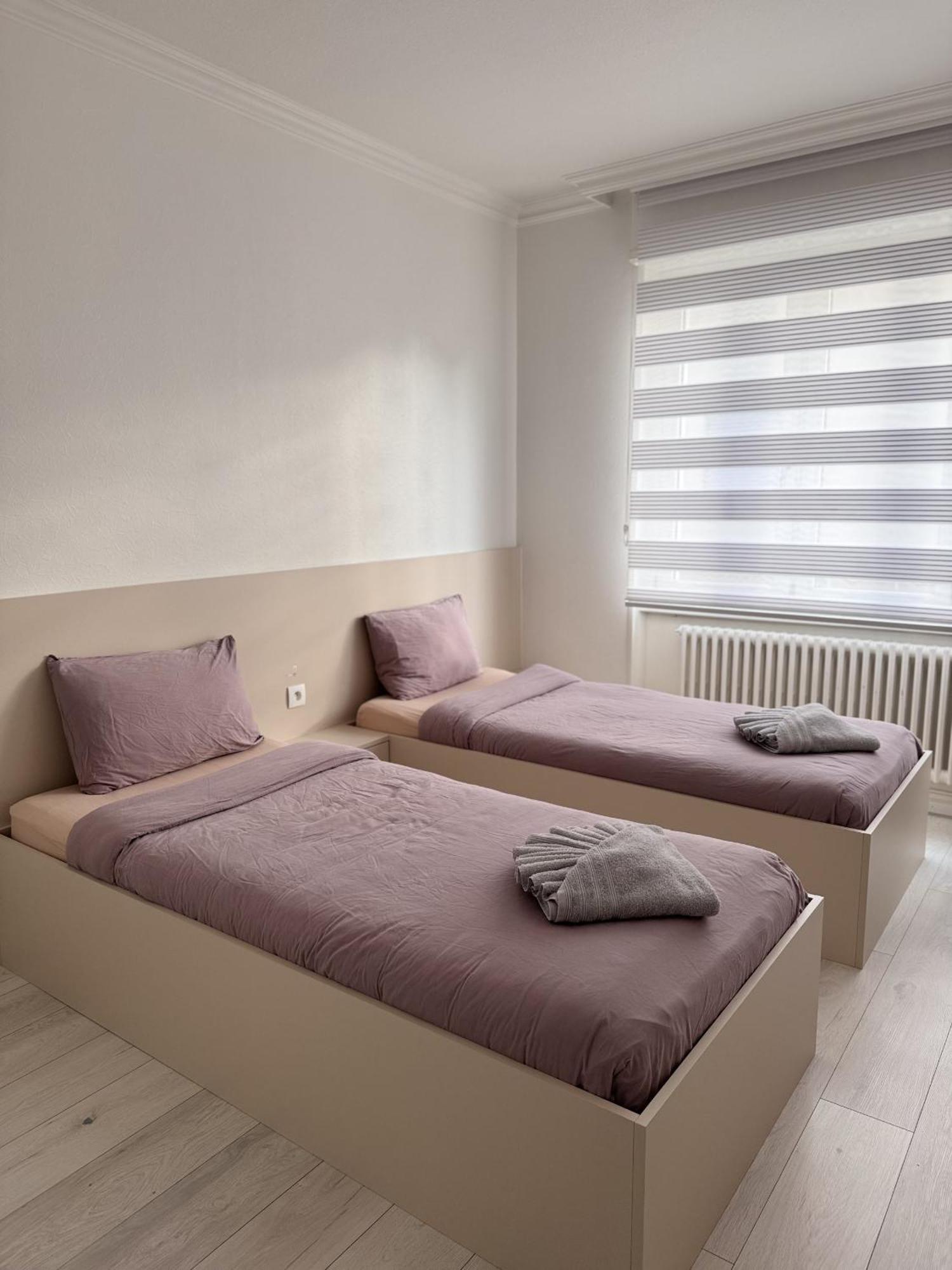 Appartement Des 3 Pays. 2 Mn De Bale+ Free Parking Сен-Луи Екстериор снимка