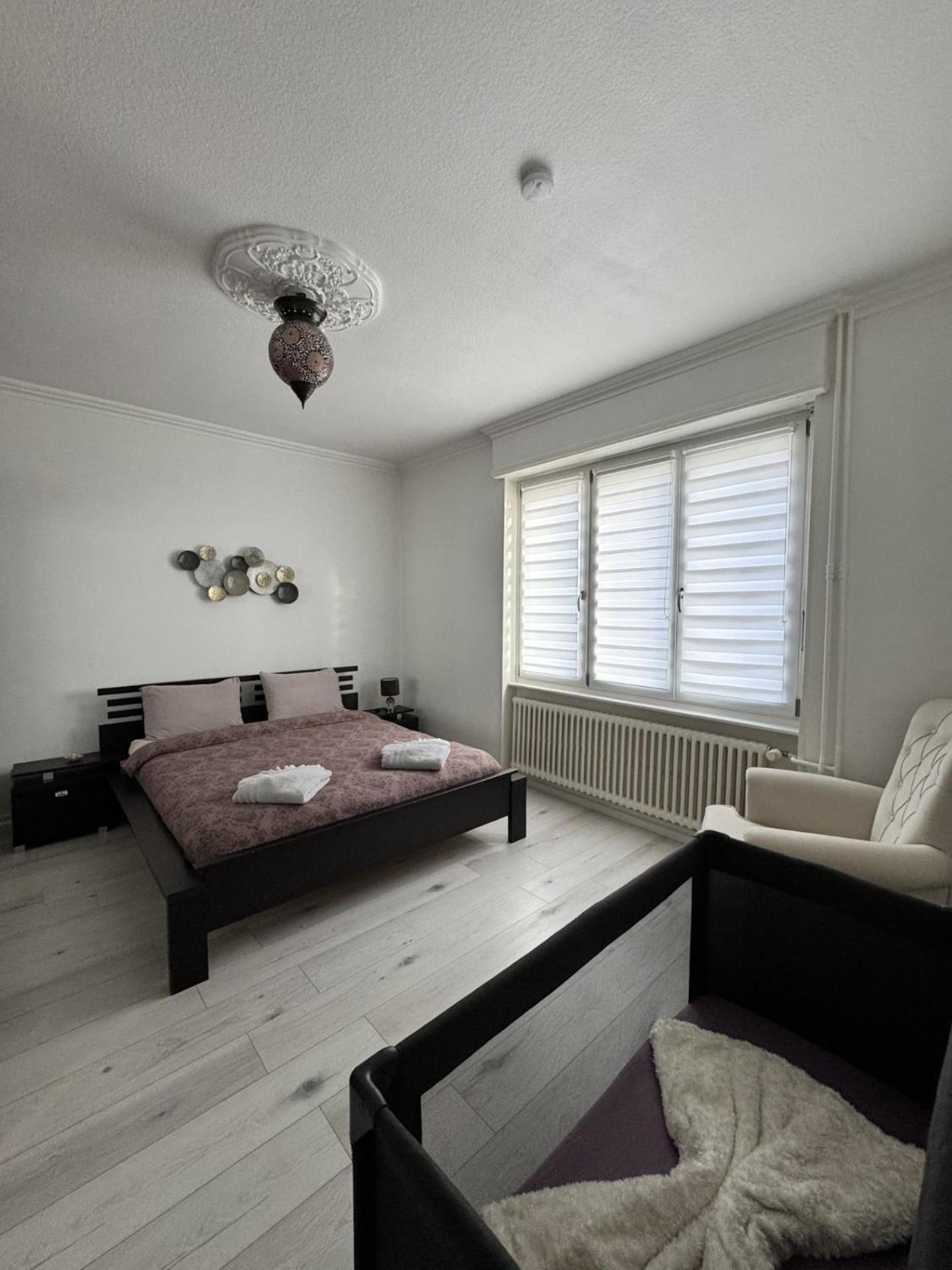 Appartement Des 3 Pays. 2 Mn De Bale+ Free Parking Сен-Луи Екстериор снимка