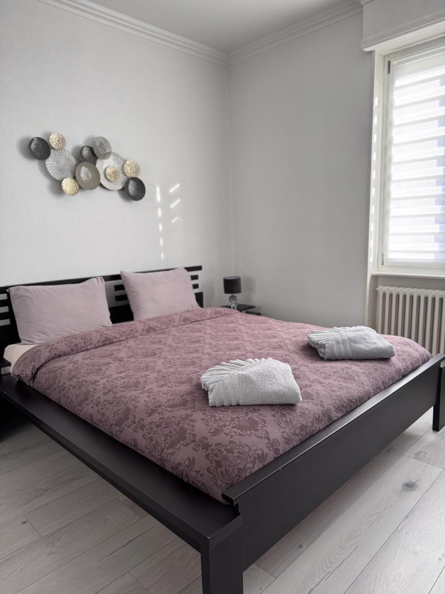 Appartement Des 3 Pays. 2 Mn De Bale+ Free Parking Сен-Луи Екстериор снимка